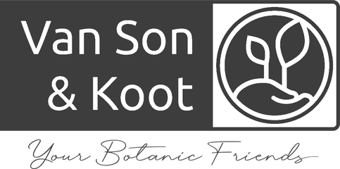 Van Son & Koot